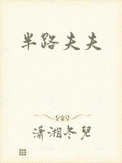 半路夫夫