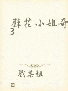 壁花小姐奇遇记3