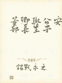 董卿与公安部副部长生子