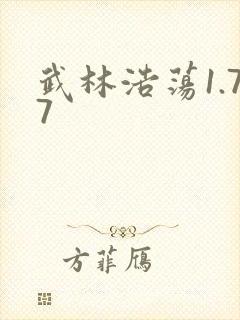 武林浩荡1.77