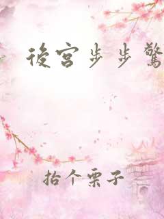 后宫步步惊心