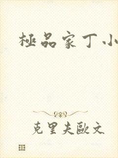 极品家丁小说