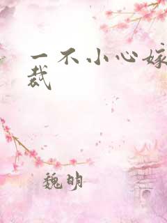 一不小心嫁给总裁