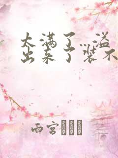 太满了...溢出来了装不下了