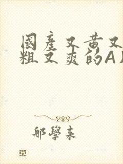 国产又黄又猛又粗又爽的A片小说