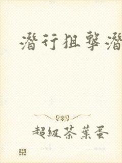 潜行狙击潜罪犯