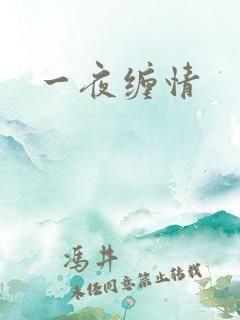 一夜缠情