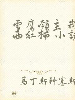 雪鹰领主 我吃西红柿 小说