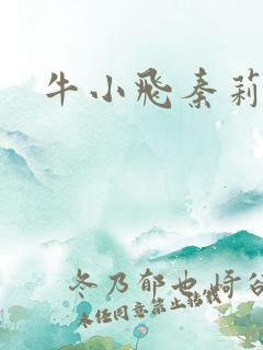 牛小飞秦莉莉