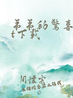 弟弟的惊喜txt下载