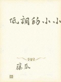 低调的小小宫女