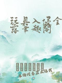 玩具入侵金银花露笔趣阁