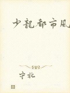 少龙都市风流行