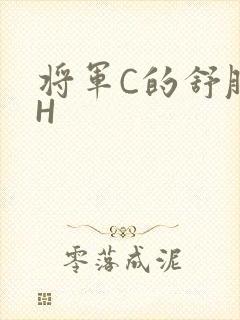 将军C的舒服么H