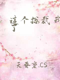 这个总裁 我要了