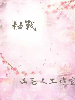 秘战