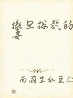 撒旦总裁的下堂妻