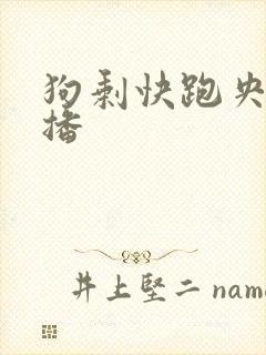 狗剩快跑央八首播