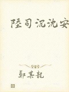 陆司沉沈安
