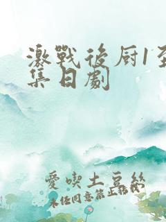 激战后厨1至5集日剧