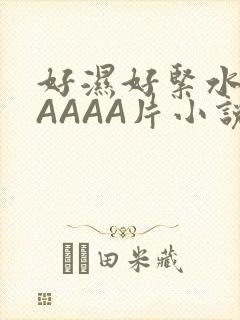 好湿好紧水多AAAAA片小说