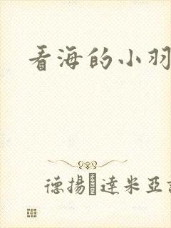 看海的小羽
