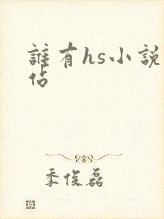 谁有hs小说网站