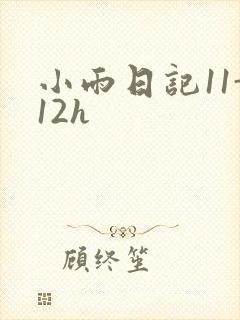 小雨日记11-12h