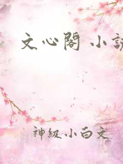 文心阁 小说