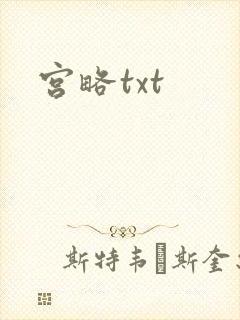 宫略txt