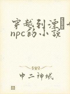 穿越到湮婸世界npc的小说