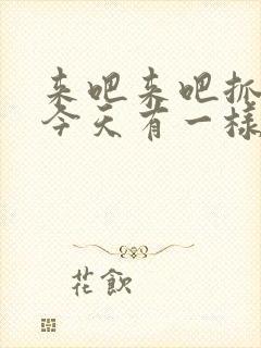 来吧来吧抓紧点今天有一样好东西