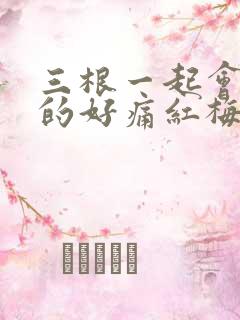三根一起会坏掉的好痛红梅