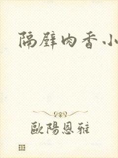 隔壁肉香小说