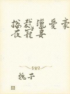 总裁猎爱豪门一夜宠妻