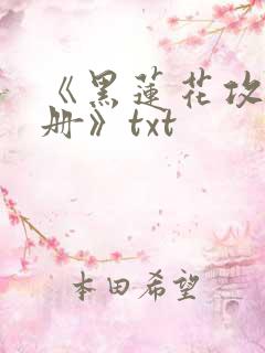 《黑莲花攻略手册》txt
