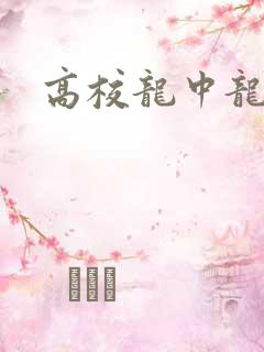 高校龙中龙全集