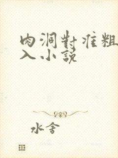 肉洞对准粗大坐入小说