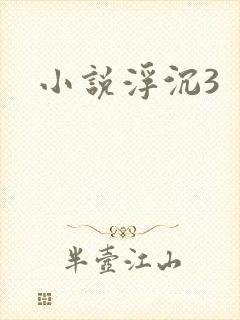小说浮沉3