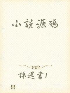 小说源码
