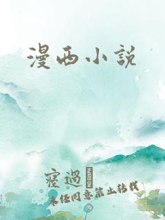 漫西小说
