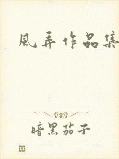 风弄作品集下载