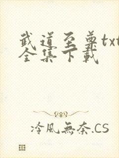 武道至尊txt全集下载