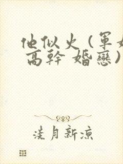 他似火 (军婚 高干 婚恋)