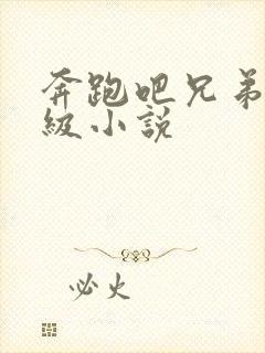 奔跑吧兄弟限制级小说