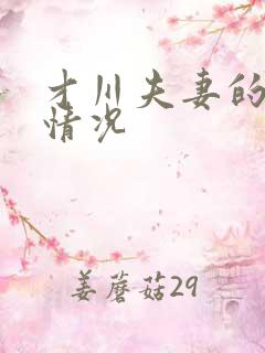 才川夫妻的恋爱情况