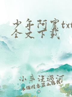 少年阿宾txt全文下载