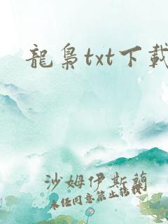 龙枭txt下载