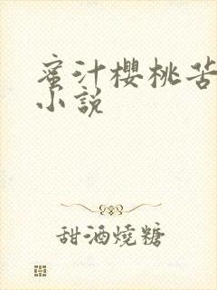 蜜汁樱桃苦咖啡小说