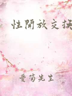 性开放交换小说